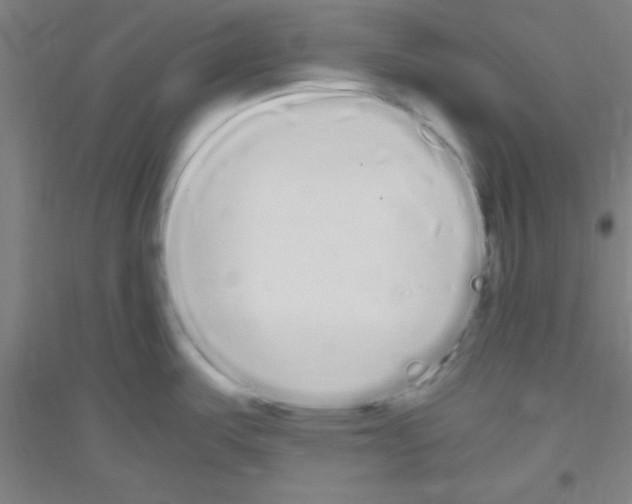 X0000116841487201001291654