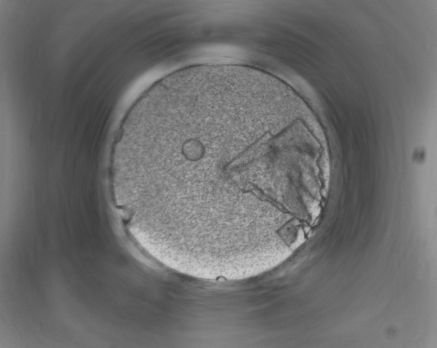 X0000116841488201001291654