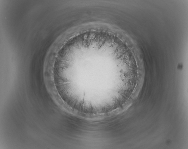 X0000116841489201001291653
