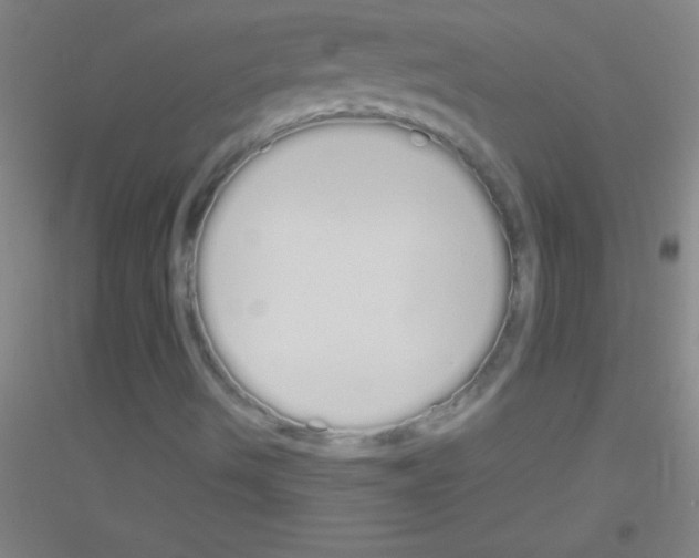 X0000116841490201001291653