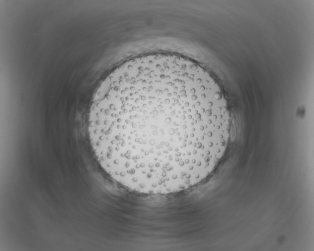 X0000116841491201001291653