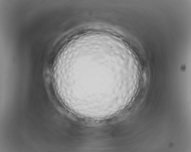 X0000116841493201001291653
