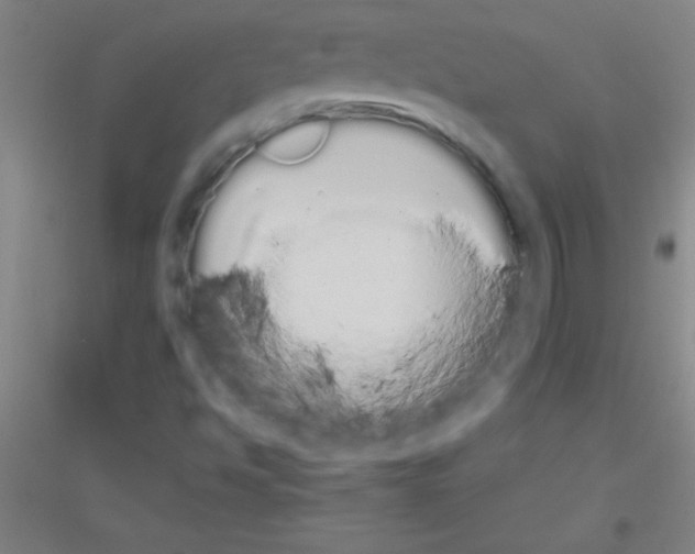 X0000116841494201001291653