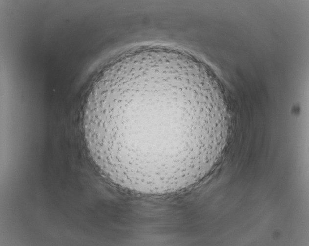 X0000116841495201001291653