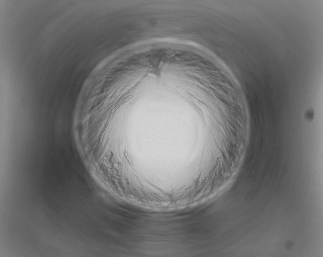 X0000116841497201001291653