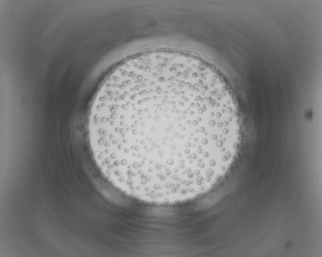 X0000116841499201001291653