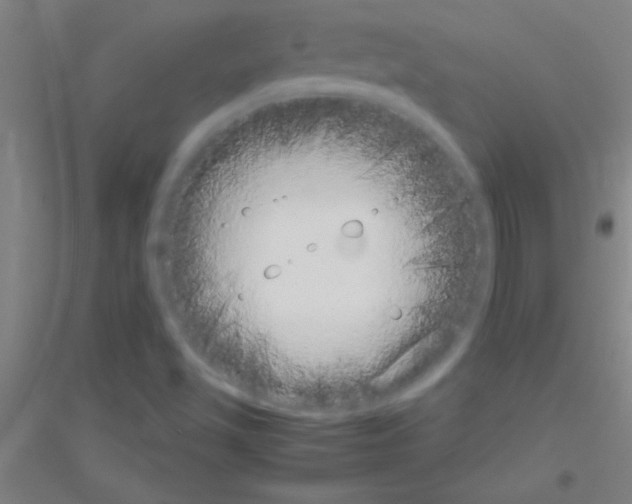 X0000116841501201001291653