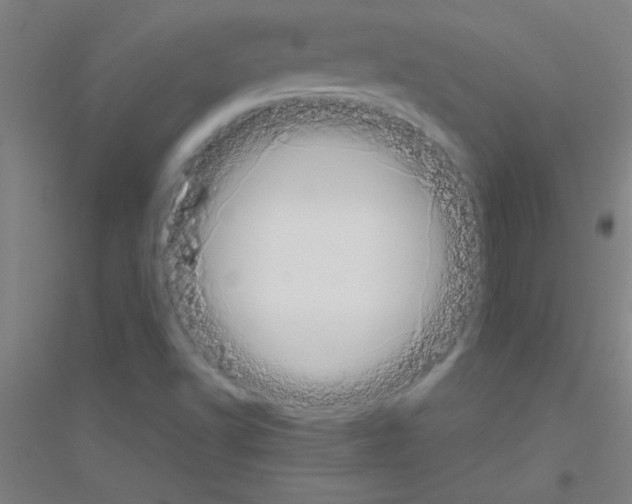 X0000116841502201001291653