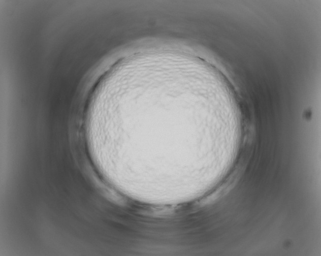 X0000116841503201001291653