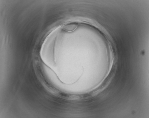 X0000116841505201001291653