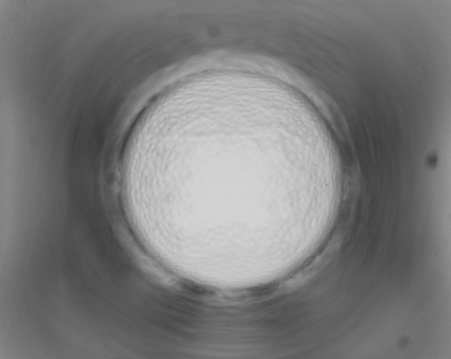 X0000116841507201001291653