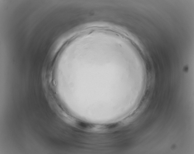 X0000116841509201001291654
