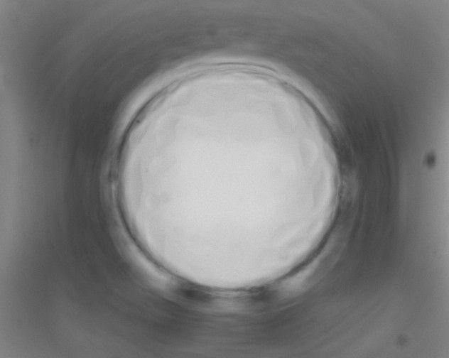 X0000116841511201001291654