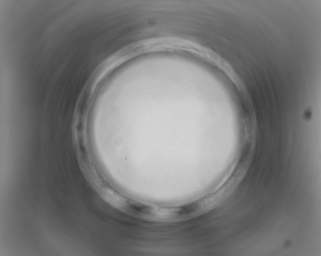 X0000116841513201001291654