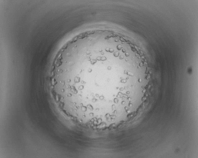 X0000116841514201001291654
