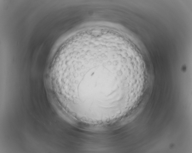 X0000116841517201001291654