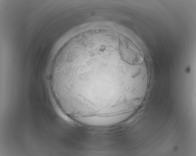 X0000116841519201001291654