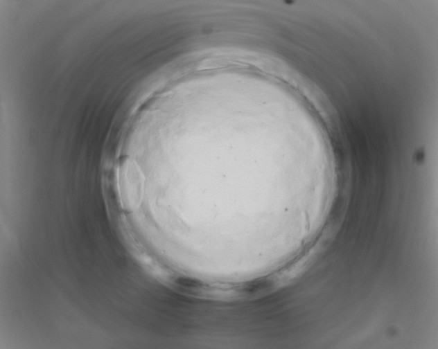 X0000116841521201001291654