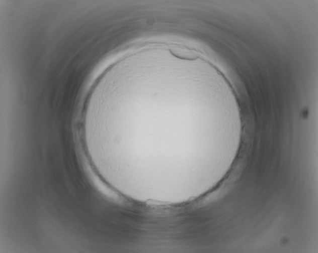 X0000116841523201001291654