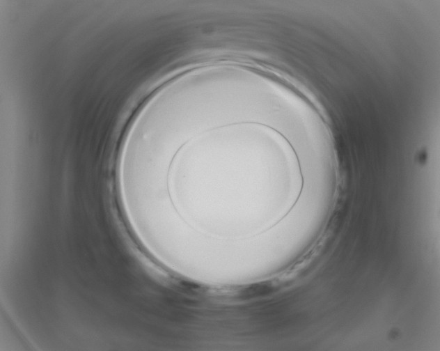 X0000116841525201001291654