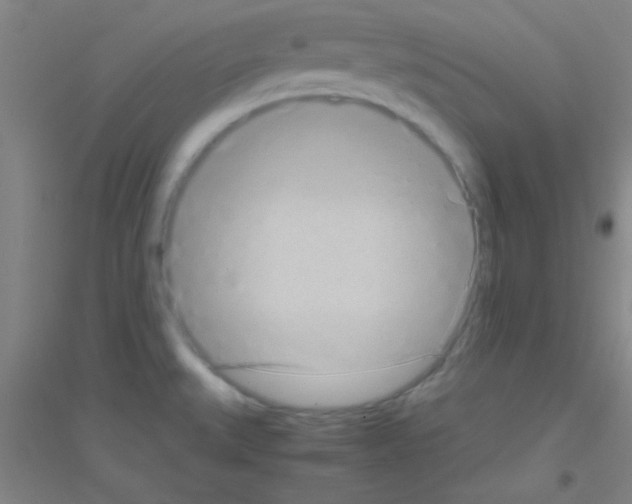 X0000116841527201001291654