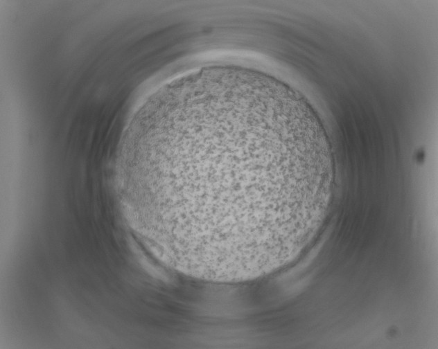 X0000116841529201001291654