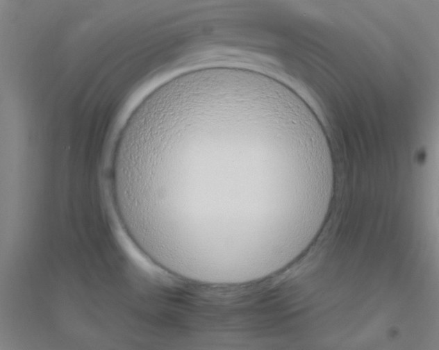 X0000116841531201001291654