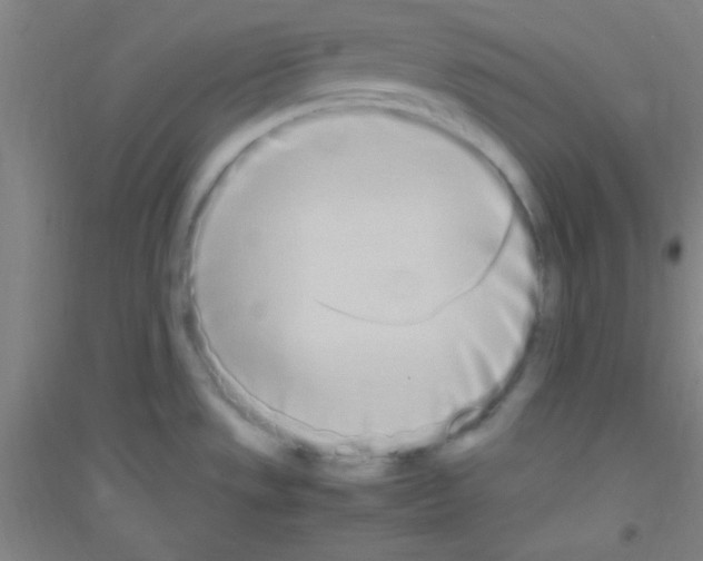X0000116841533201001291654