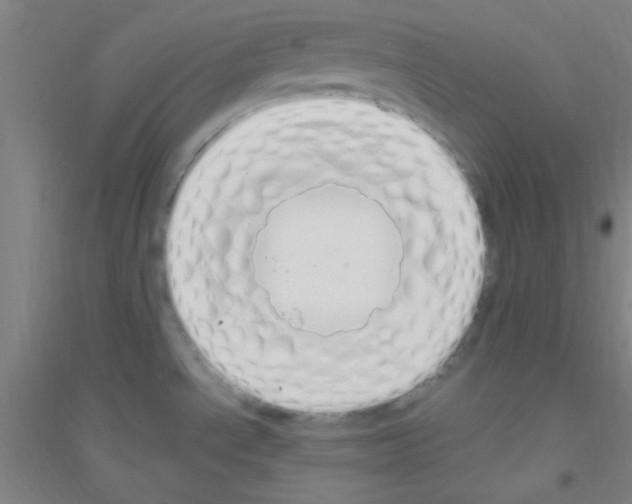 X0000116841534201001291654