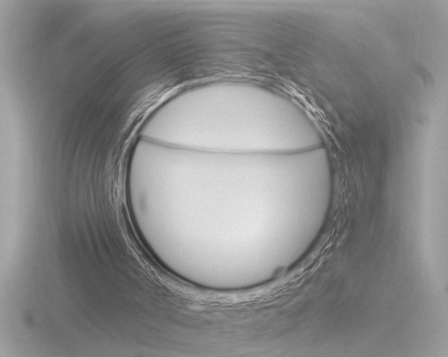 X0000116850002200912211135