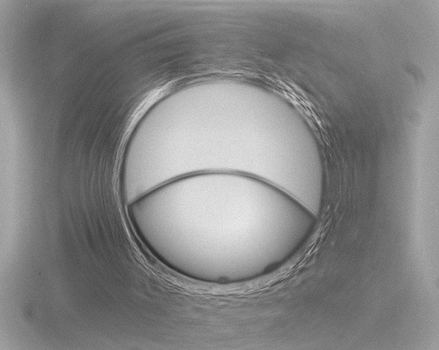 X0000116850003200912211135