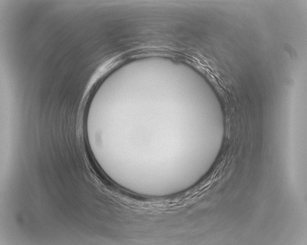 X0000116850004200912211135