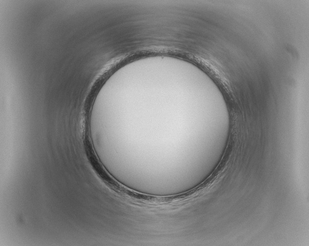 X0000116850016200912211134