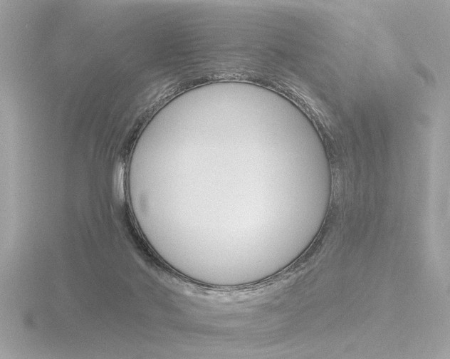 X0000116850022200912211134