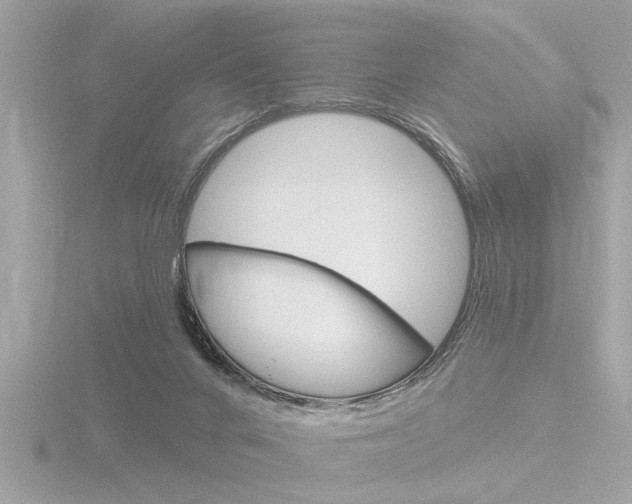 X0000116850024200912211134