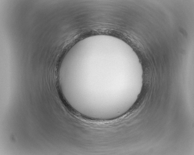 X0000116850040200912211133