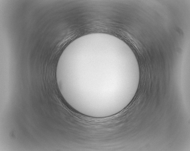 X0000116850043200912211133