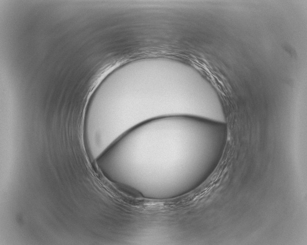 X0000116850052200912211130