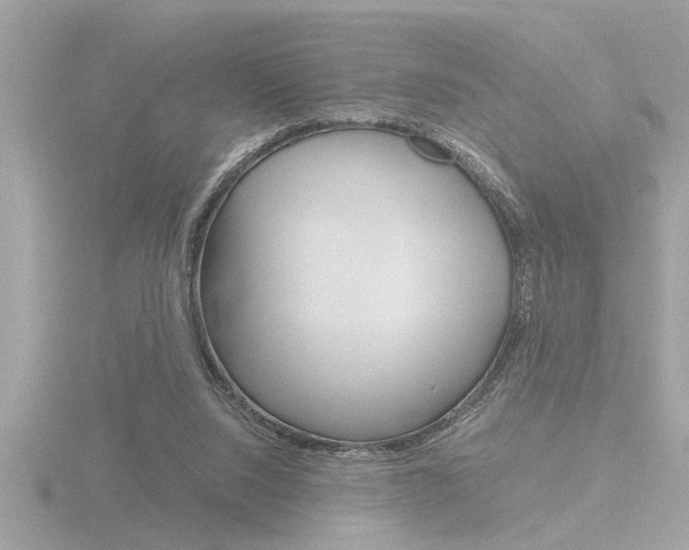 X0000116850064200912211131