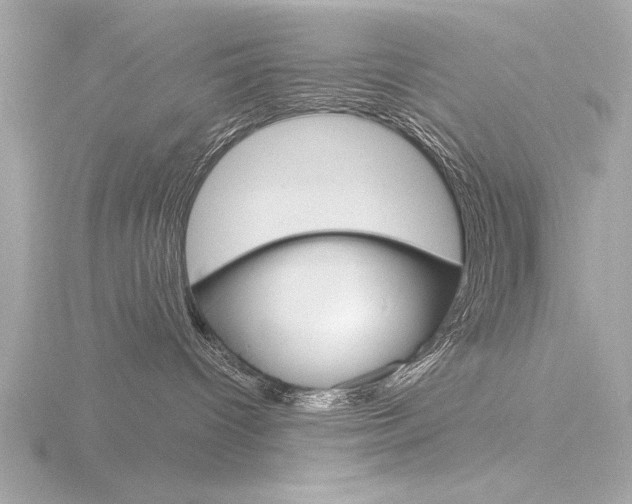X0000116850096200912211133
