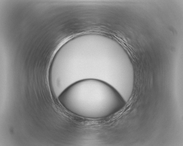 X0000116850100200912211130
