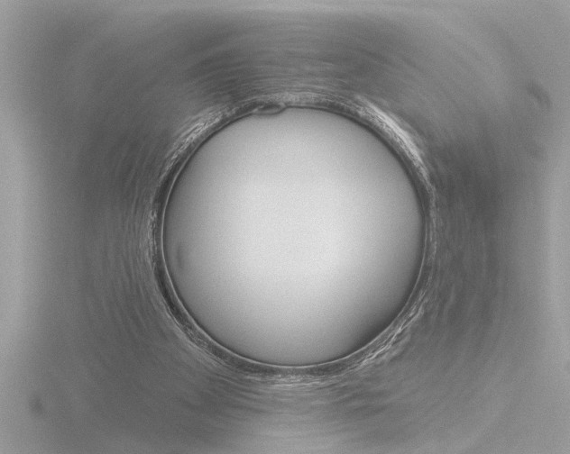 X0000116850105200912211129