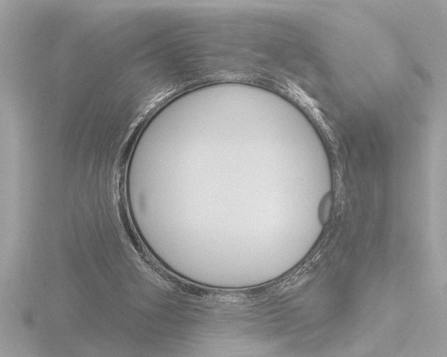 X0000116850106200912211129