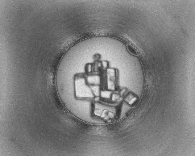 X0000116850117200912211129