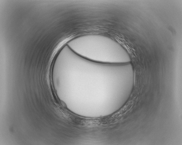 X0000116850147200912211125