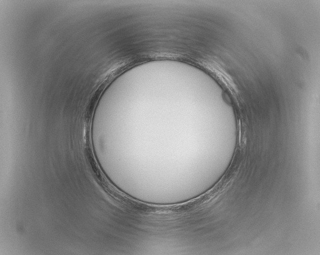 X0000116850157200912211126
