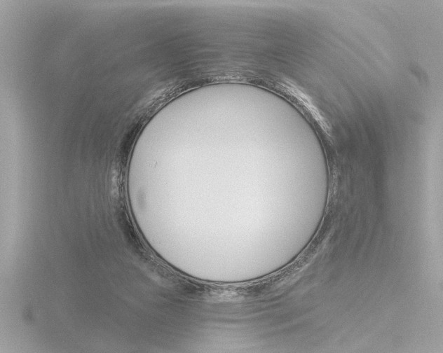 X0000116850161200912211126
