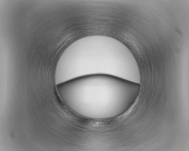 X0000116850174200912211127