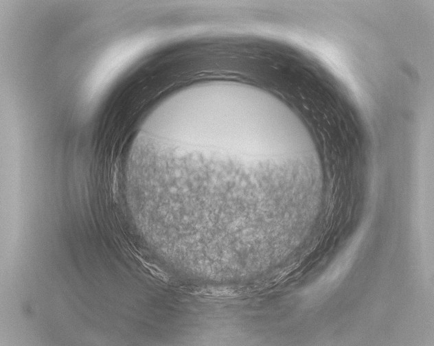 X0000116850194200912211125