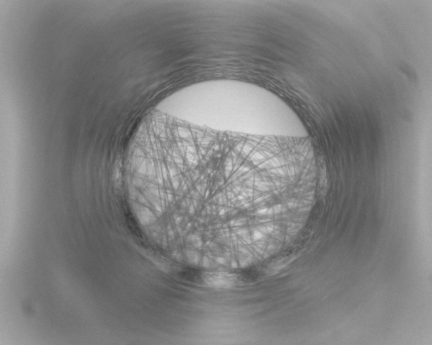 X0000116850226200912211124
